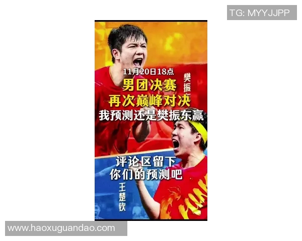 上海乒乓球队加速转型探索新战术引发热议与关注