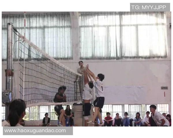 上海排球队在锦标赛中的心理素质分析与表现评估