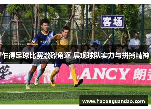 乍得足球比赛激烈角逐 展现球队实力与拼搏精神