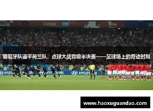 葡萄牙队逼平荷兰队，点球大战晋级半决赛——足球场上的奇迹时刻