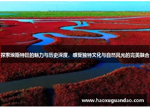 探索埃斯特旺的魅力与历史深度，感受独特文化与自然风光的完美融合
